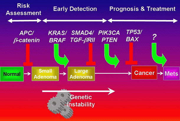 Figure 1: Pathways that control colorectal tumorigenesis...